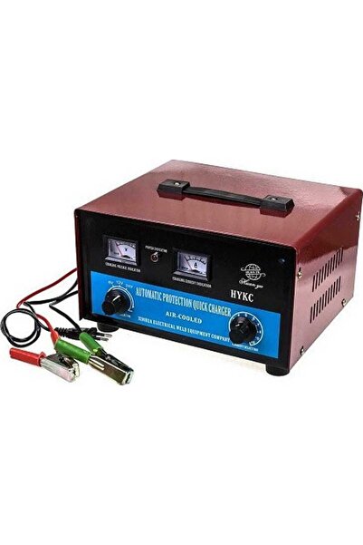 ACP Φορτιστής μπαταρίας αυτοκινήτου 12/24V 40A