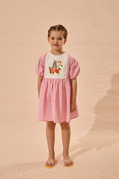 Fahhar Kids Rabbit Embroidered Gingham Dress Pink