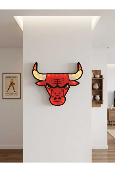 NO NAME chicago bulls lam