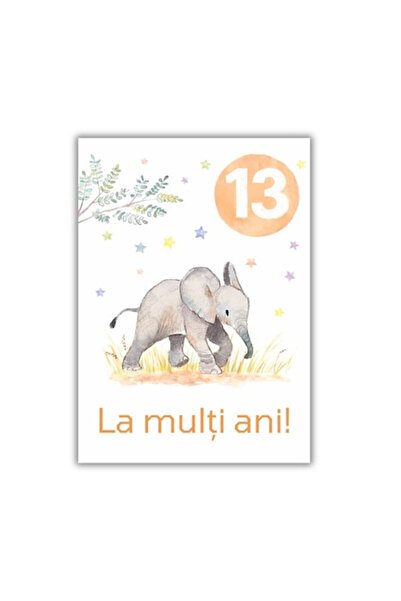 OEM Felicitare 13x18 cm cu plic, aniversare 13 ani