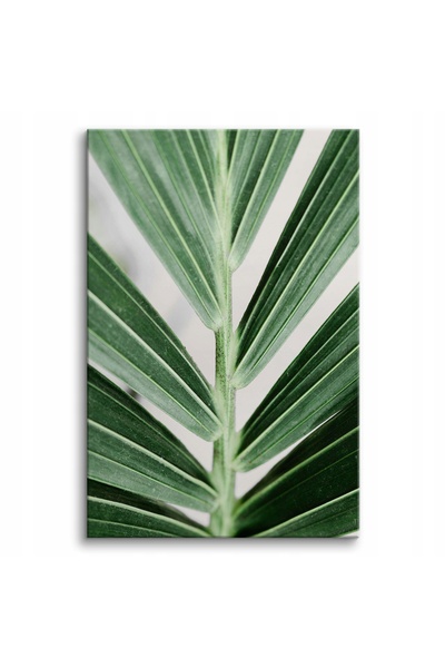 Naklejkomania Tablou pe panza, Frunza verde, 120 x 80 cm, Cu rama, Imprimare ...