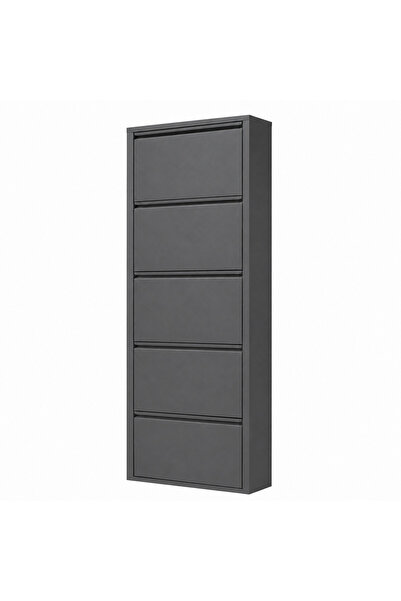 Alveon Schuhschrank aus Metall mit 5 schmalen Klapptüren, 51 x 15 x 170 cm, A...