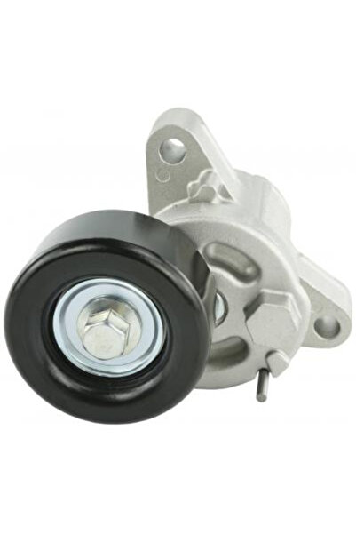 FEBEST Intinzator curea, curea distributie 0490-CX6A