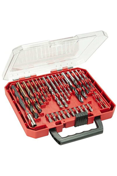 SKIL Red SKIL 2610S00919 set 30 si biti de insurubare in caseta pentru organi...