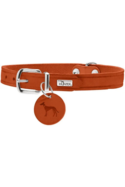 Hunter Zgardă de câine din piele Aalborg, Mărimea S, 42 cm