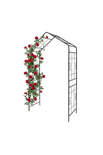 Relaxdays Arcadă cu trandafiri, Relaxdays, metal, negru, 240x143x43cm, neasam...