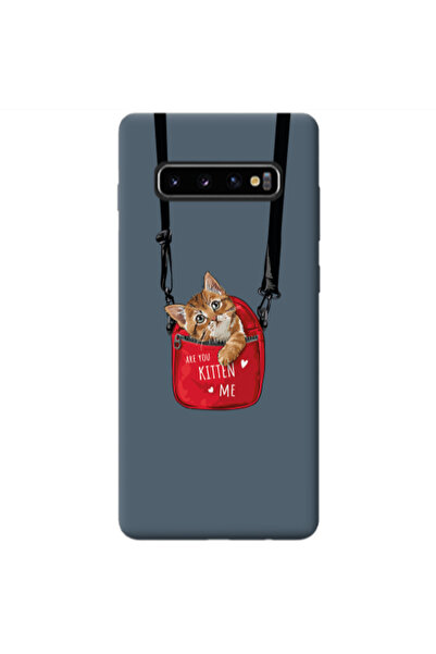 Other Samsung S10 Are you kitten Dark Grey Colored Silicone TPU Θήκη