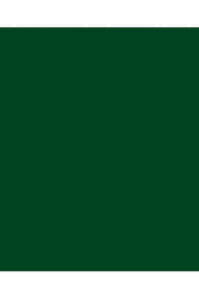 Canson Χαρτί Colorline 50x70 σε πράσινο μασαλί χρώμα (105741030)