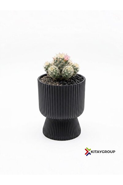 KıtayGroup Lotus Vazo Ayaklı Dekoratif İç Ve Dış Mekan Saksı 1,8 LT