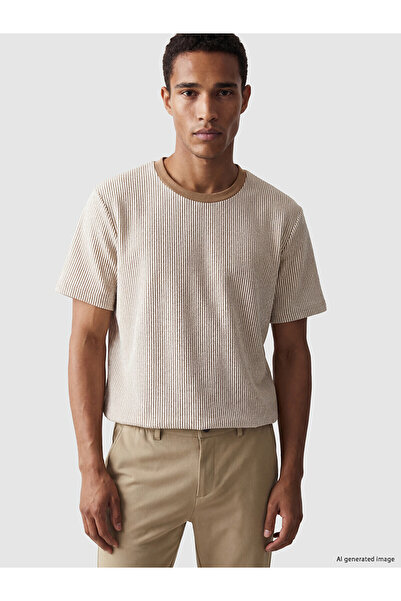 LC Waikiki Özmarka New Season Crew Neck Striped Men's T-Shirt