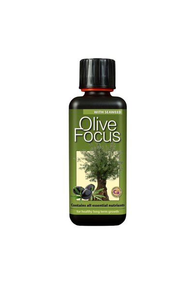Growth Technology Olive Focus 1 Litre
