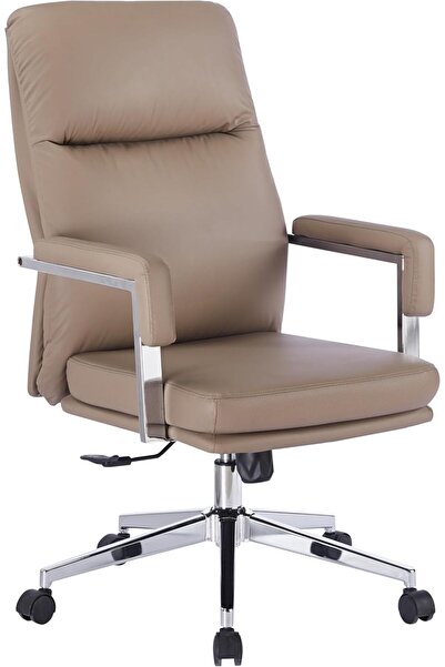 GoldenLike Mid-Back Executive Office Chair, Ergonomic PU Leather Desk Chair w...