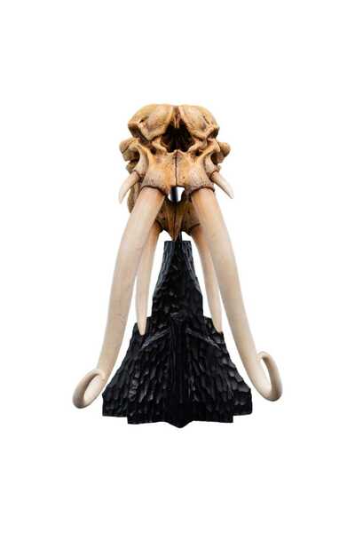 OEM Figurina miniaturala, Weta Workshop, craniu mumakil, 15 cm, 22x14,8x19,5 ...