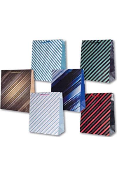 OEM Panorama, geanta cadou din hartie laminata decorativa PL-6, multicolor, m...