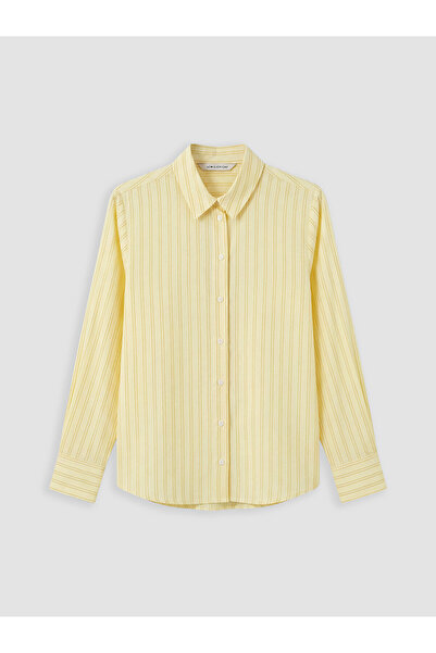 LC Waikiki Nevavm Striped 100% Cotton Women's Shirt with a Difference
