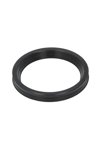 Thermotec Inel Etansare Furtun Aer Supraalimentare DACIA DUSTER/LODGY/LOGAN 2...