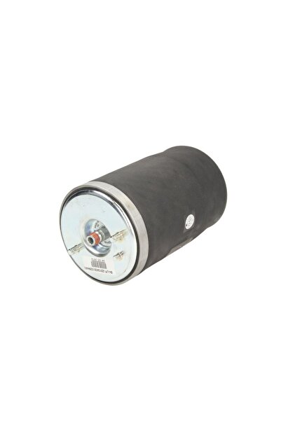 Bilstein Perna de Aer Spate Dreapta Bmw X5 (e53) 3.0-4.8 01.00-12.06 BMW X5
