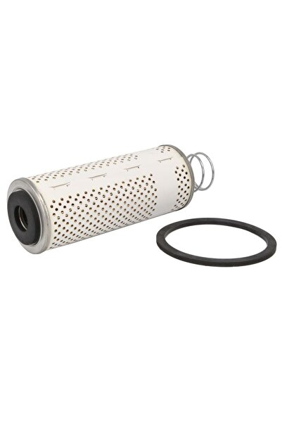 FLEETGUARD Filtru Combustibil Ammann Ap 240 Fiat Som 55 Som 615 Laverda M90