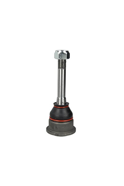 FEBI BILSTEIN Pivot Axa Dreapta/Stanga (inferior/Interior Fata) (diametru Con...