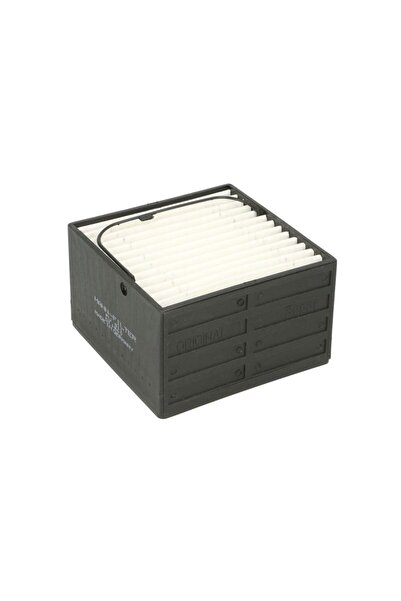 Mann-Filter Filtru Combustibil Man E2000 F2000 Foc Helicon Hocl Lion S Interc...