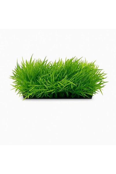 Ocean Free Gazon de acvariu planta decorativa artificiala 12 X 4 cm