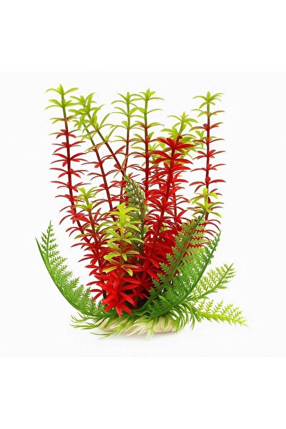 Ocean Free Plante acvariu rosii 18 cm Red Egeria