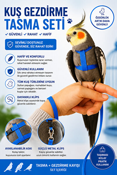 Petshop Kuş Gezdirme Tasması Seti Ayarlanabilir Papağan Uçuş Tasması Muhabbet...