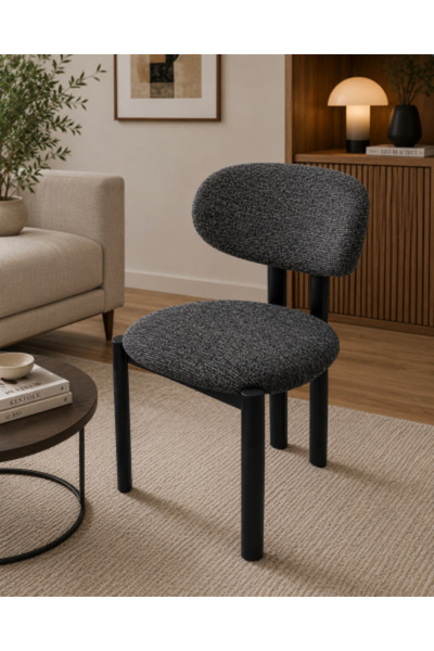 HOMEZ NEED Orion Lounge Chair