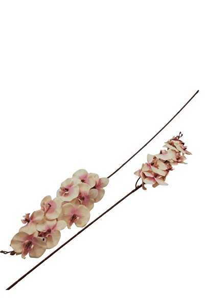 Generic 3 Orchid Stems for Home Decoration