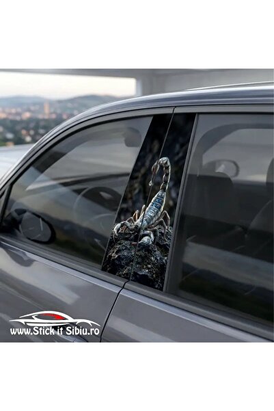 StickITsibiu Σετ Αυτοκόλλητων για Κολώνες Αυτοκινήτου – ΣΚΟΡΠΙΟΣ |   2 τεμάχι...