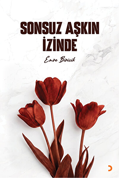 Cinius Yayınları Sonsuz Aşkın İzinde