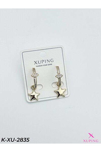 Bozhi Elegant Earrings Elegant Gift