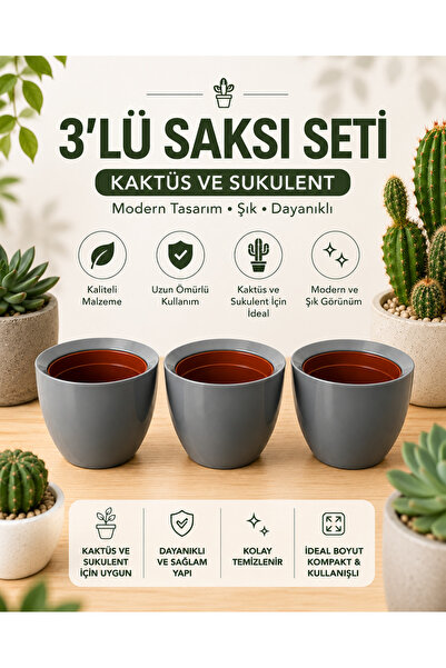 kolyosmarket 3'lü Dekoratif Saksı Seti | 5,5 cm Sukulent ve Kaktüs Üretim Sak...