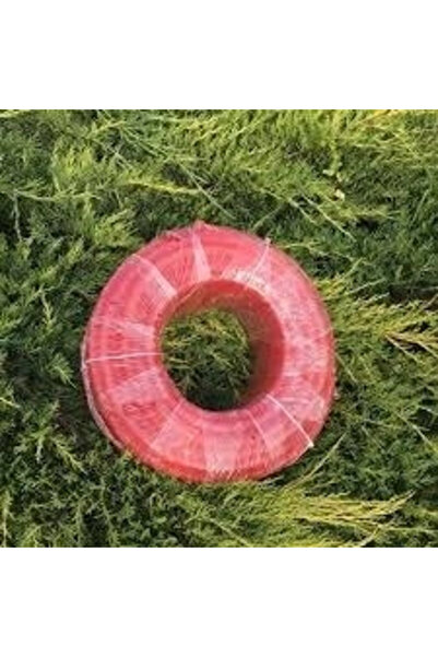 Epilons Braided (1/2) 50Mt. Garden Hose