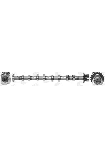 AEAONLİNE Ax Cu Came Partea De Admisie Cam981 Audi A3/A4 B7/A6 C6/Q3/Tt Audi ...