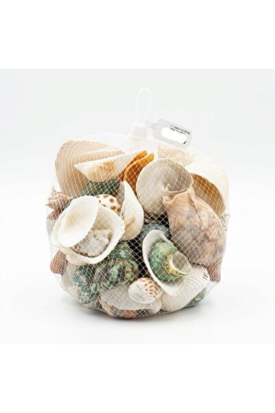 AKDC Mixed Decorative Seashells & Stones – 100 g Net Bag