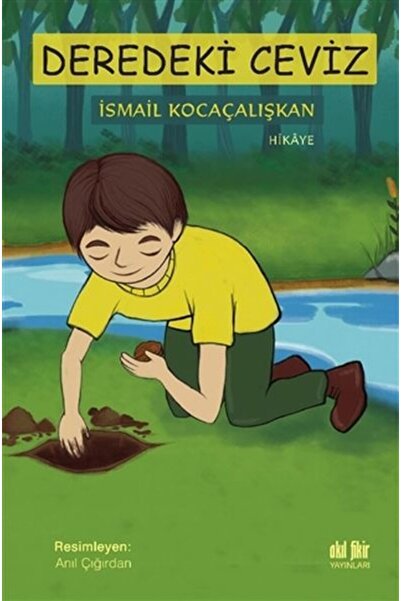 Akıl Fikir Yayınları Deredeki Ceviz