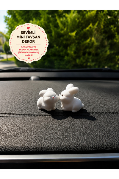 Filkorium3D Tatlı Tavşan Çift Sert Plastik Araba Süsü, Çift Hediye, Minik Süs...