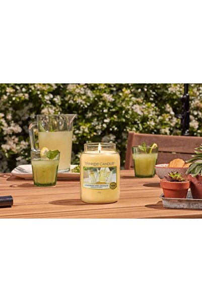 Yankee Candle Scented Candle | Midnight Jasmine Large Jar Candle | Burn Time:...
