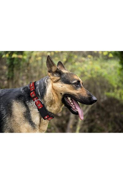 Pets First لعبة مطاطية للكلاب متينة مع حبل سحب قوي للكلاب. لعبة كرة هوكي الجل...