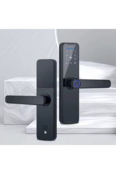 OEM Smart Digital Lock with , Card, WiFi, App