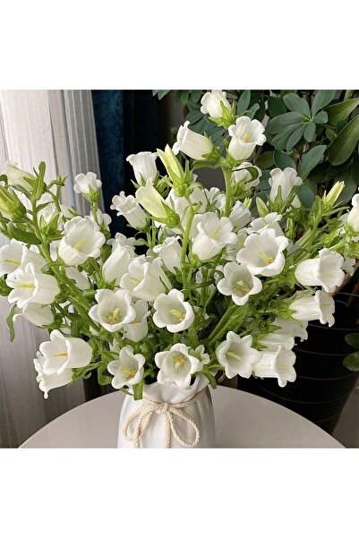 Bloom & Sow Seed Pure White Bellflower Seeds, Elegant Wedding Bouquet Courtya...