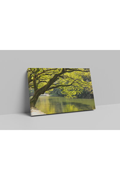 Ağaç Yakamozu 50 x 70 Kanvas Tablo
