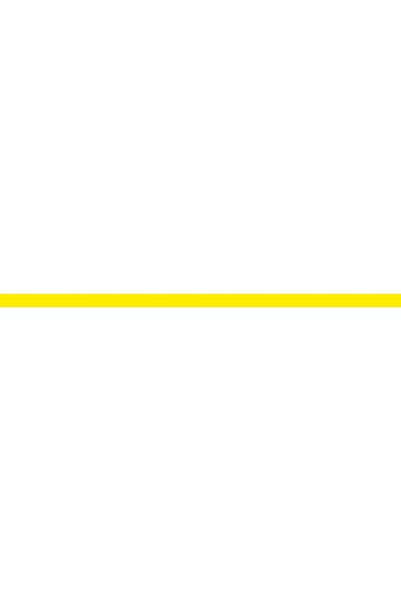 NO BRAND WV 2 Plus NP KARCHER aparat de curățat geamuri fără fir 1.633-661.0