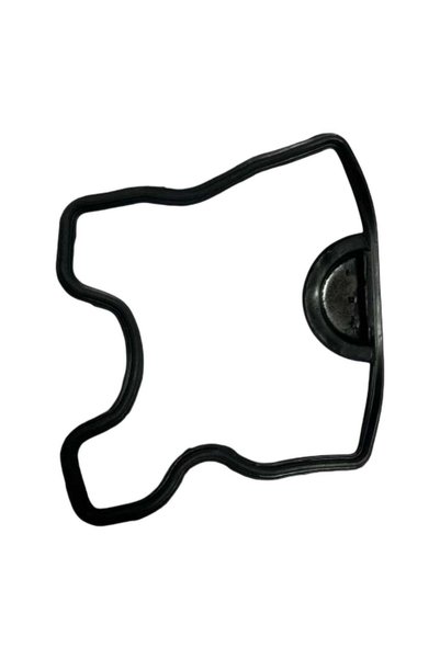 EFE Motor Külbütör TVS Apache RTR 200 (Subap Kapak Contası) (NF010090)