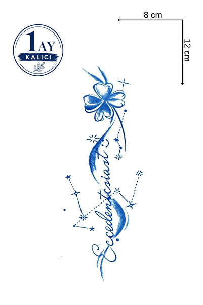 Barly 1 Ay Kalıcı Yonca Figürlü Sonradan Kararan Yarı Kalıcı Geçici Dövme Tattoo