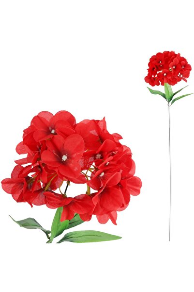 Goliat Hortensie floare unică de culoare roșie