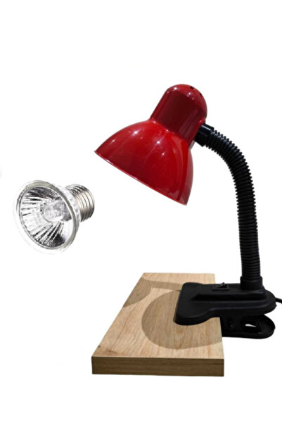 KORHAN TEKNİK Mandallı Akrobat Lamba Tutacağı 25 W Uva/Uvb Lamba Dahil (Kırmızı)