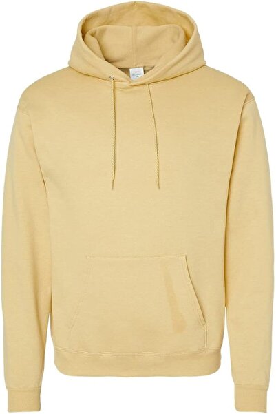 HANES Men's EcoSmart Fleece Hoodie Sweatshirt