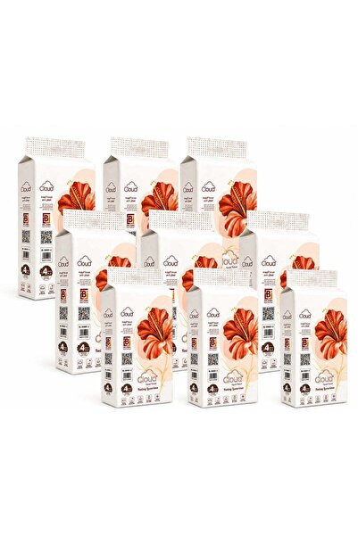 CLOUD 9 Packs of Wall Hanging Tissues 4Ply Contains 1200 Tissues Each